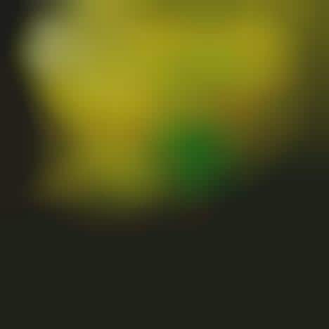 Smoke Bomb Photo Series