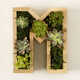 Alphabet DIY Gardening Kits Image 2