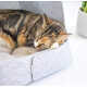 Origami-Like Pet Beds Image 1