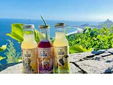 Globally Inspired Lemonades