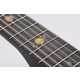 Celestial Smart Bamboo Guitars Image 2