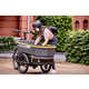 Family-Friendly Cargo E-Trikes Image 2
