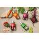 Fresh Vegetal Fragrances Image 1