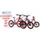Easy-to-Balance Youth E-Bikes Image 1