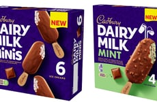 Snacking-Friendly Ice Cream Products