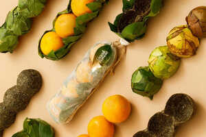 Biodegradable Packaging Solutions Article Thubnail