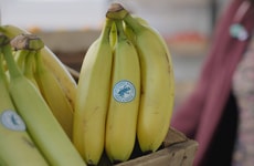 Top 55 Eco Trends in April
