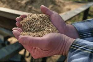 Tree-Free Building Materials Article Thubnail