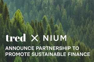 Green Debit Cards Article Thubnail