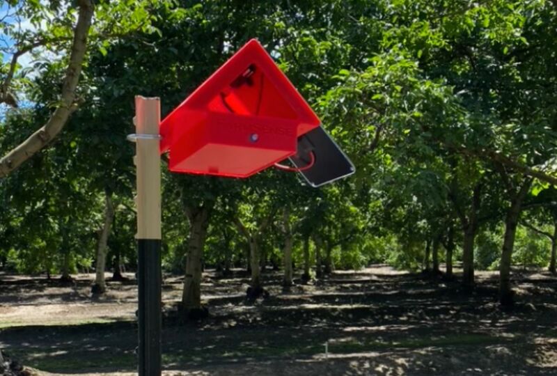 AI Pest Identification Systems