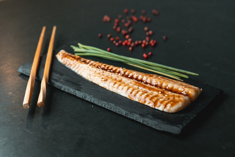 3D-Printed Eel Alternatives